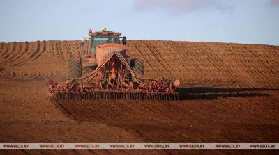 Озимые зерновые в Беларуси посеяли на 54,1% запланированных площадей