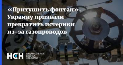 «Притушить фонтан». Украину призвали прекратить истерики из-за газопроводов
