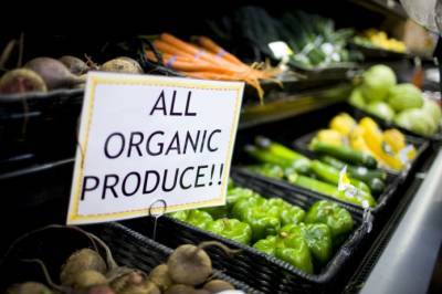 Эксперт: Продажи органических продуктов замедлятся