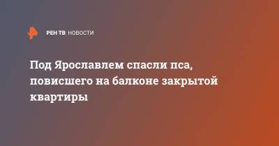 Под Ярославлем спасли пса, повисшего на балконе закрытой квартиры