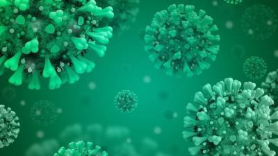 Риск для здоровья от коронавируса сохраняется в течение полугода