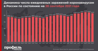 В России зарегистрирован новый максимум по суточной смертности от COVID-19