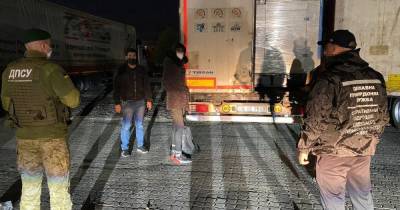 В одесском порту в грузовике с тканями нашли нелегалов из Сирии (видео)