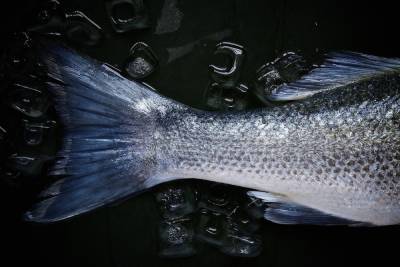 Полицейские раскрыли кражу 90 килограммов рыбы из рыбного хозяйства под Сараями
