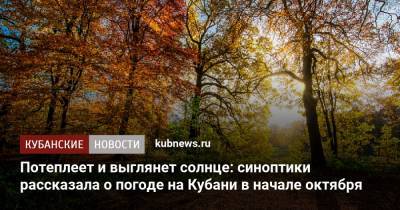 Потеплеет и выглянет солнце: синоптик рассказала о погоде на Кубани в начале октября