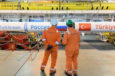 Эксперт по энергетике Пикин назвал «бессмысленным» волнение Украины из-за «Турецкого потока»
