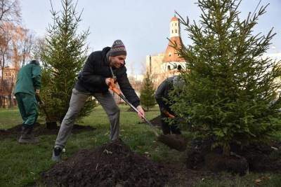 Более четырех тысяч именных деревьев высадили участники проекта «Наше дерево»