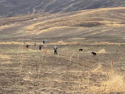 Агентство Азербайджана по разминированию назвало площадь освобожденных земель, очищенных от мин