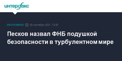 Дмитрий Песков - Песков назвал ФНБ подушкой безопасности в турбулентном мире - interfax.ru - Москва - Россия