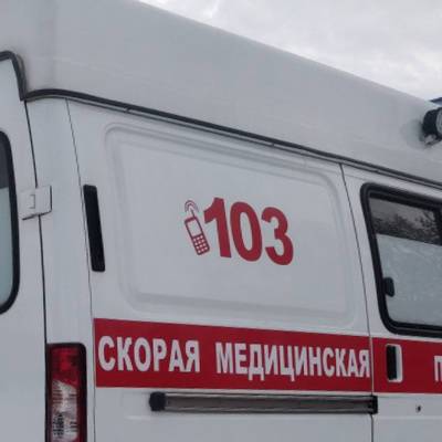 Женщина и двое маленьких детей погибли в результате ДТП в Ленинградской области