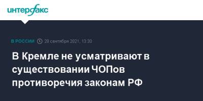 В Кремле не усматривают в существовании ЧОПов противоречия законам РФ