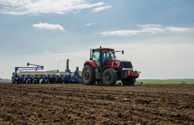 Половина областей Украины завершила сев рапса под урожай-2022