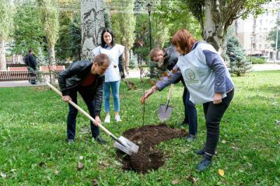 На Алле Героев в Волгограде высадили 12 молодых яблонь