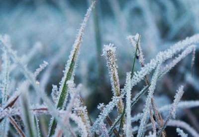 ​В Украине ожидаются ночные заморозки до -5 °С