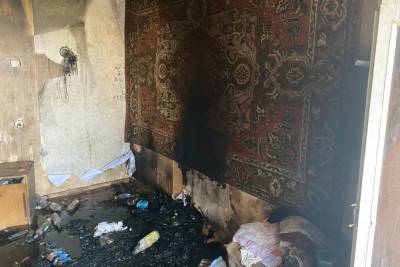 Обугленное тело нашли на пепелище в старорусской деревне