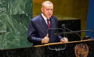 Al Jazeera: Эрдоган в гневе. Визит в США — это провал