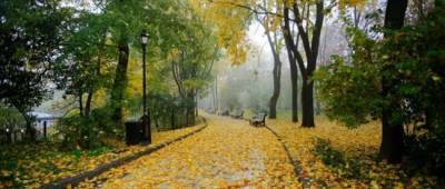 Погода в октябре: Укргидрометцентр опубликовал прогноз