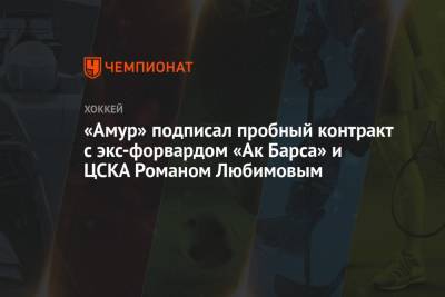 «Амур» подписал пробный контракт с экс-форвардом «Ак Барса» и ЦСКА Романом Любимовым
