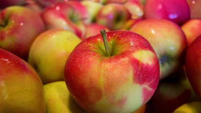 Россельхознадзор разрешил поставки яблок с пяти азербайджанских предприятий