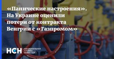 «Панические настроения». На Украине оценили потери от контракта Венгрии с «Газпромом»