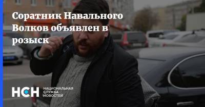 Соратник Навального Волков объявлен в розыск