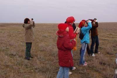В парках Волгоградской области начались дни наблюдения за птицами