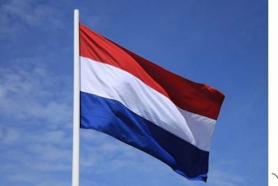 Члена совета Гааги заподозрили в покушении на премьера Нидерландов