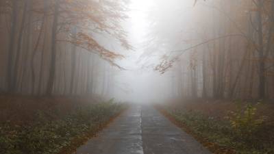 В Ленобласти объявили штормовое предупреждение из-за надвигающегося тумана