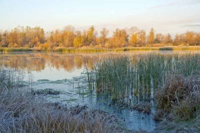 29 сентября в Смоленской области возможны небольшие заморозки