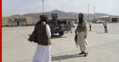 О помощи талибов в предотвращении терактов рассказали в Пентагоне