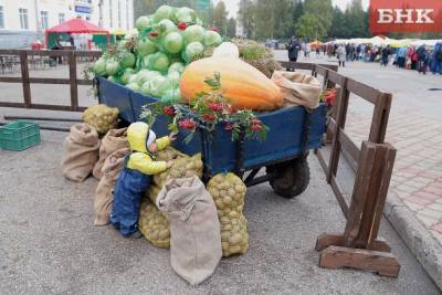 В Коми пройдет сельскохозяйственная ярмарка «Урожай – 2021»