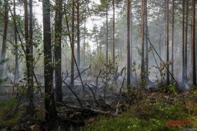 Разработчик подлодок «Булава» запатентовал способ борьбы с лесными пожарами