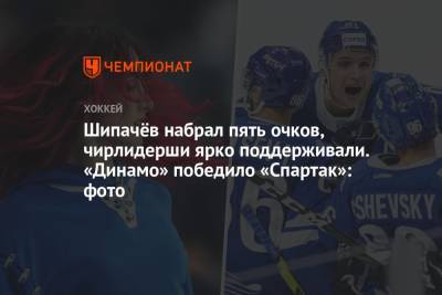 Шипачёв набрал пять очков, чирлидерши ярко поддерживали. «Динамо» победило «Спартак»: фото