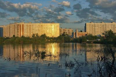 Жители Петербурга стали чаще снимать и покупать жилье в Ленобласти