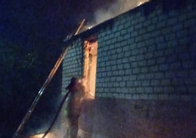 На пожаре в Александро-Невском районе погибли два человека