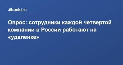 Опрос: сотрудники каждой четвертой компании в России работают на «удаленке»