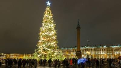 Петербуржцам предложили выбрать новогоднюю ель для Дворцовой площади