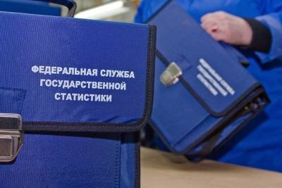 Трижды перенесённая Всероссийская перепись населения пройдёт с 15 октября по 14 ноября
