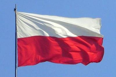 Поляки предположили, что Россия дойдет до Варшавы за 16 часов