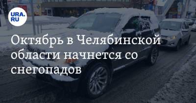 Октябрь в Челябинской области начнется со снегопадов. Скрин