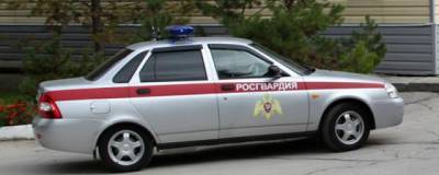В Петербурге после перепалки возле колледжа задержали двух мужчин