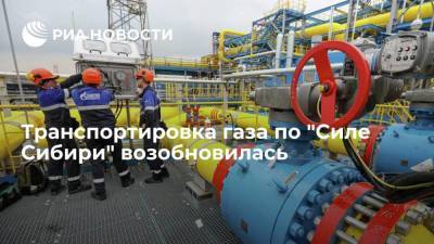 "Газпром" возобновил транспортировку газа по "Силе Сибири" после профилактических работ