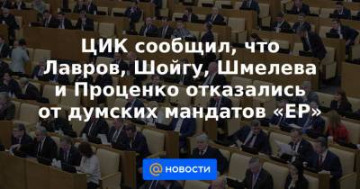 ЦИК сообщил, что Лавров, Шойгу, Шмелева и Проценко отказались от думских мандатов «ЕР»