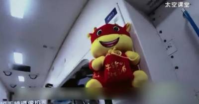 Корова на борту. Китайские астронавты оставили свою станцию на попечение мягкой игрушки (фото)