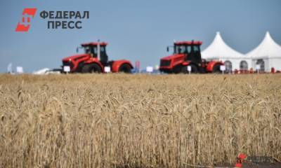 В Нижегородской области из-за гибели урожая ввели режим ЧС