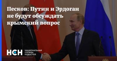 Песков: Путин и Эрдоган не будут обсуждать крымский вопрос