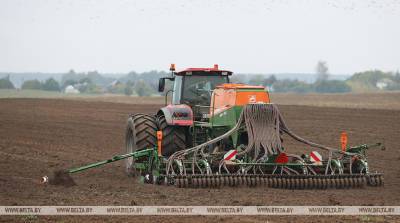 Озимые зерновые в Беларуси посеяли на 58,4% запланированных площадей