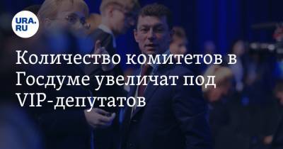 Количество комитетов в Госдуме увеличат под VIP-депутатов