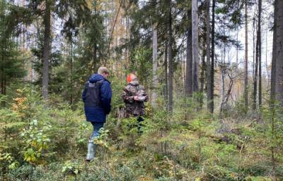 В лесу в Тверской области нашли тело подростка, пропавшего десять месяцев назад