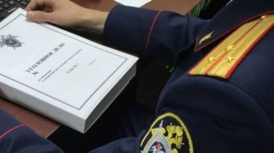 В Омске против девятиклассницы возбудили уголовное дело за подготовку к взрыву школы